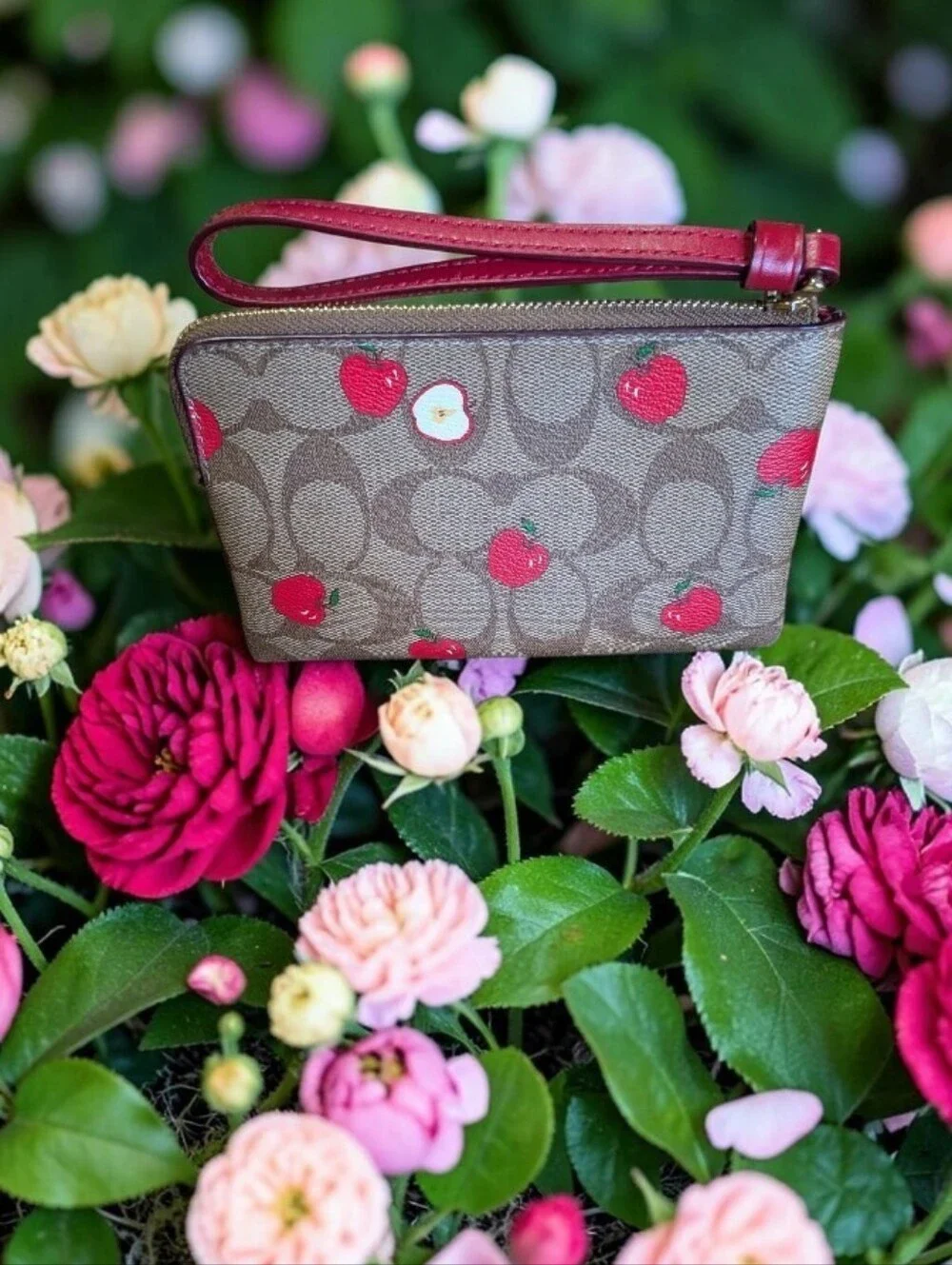 Coach Cherry Print Signature Wristlet in Brown with Red Accents